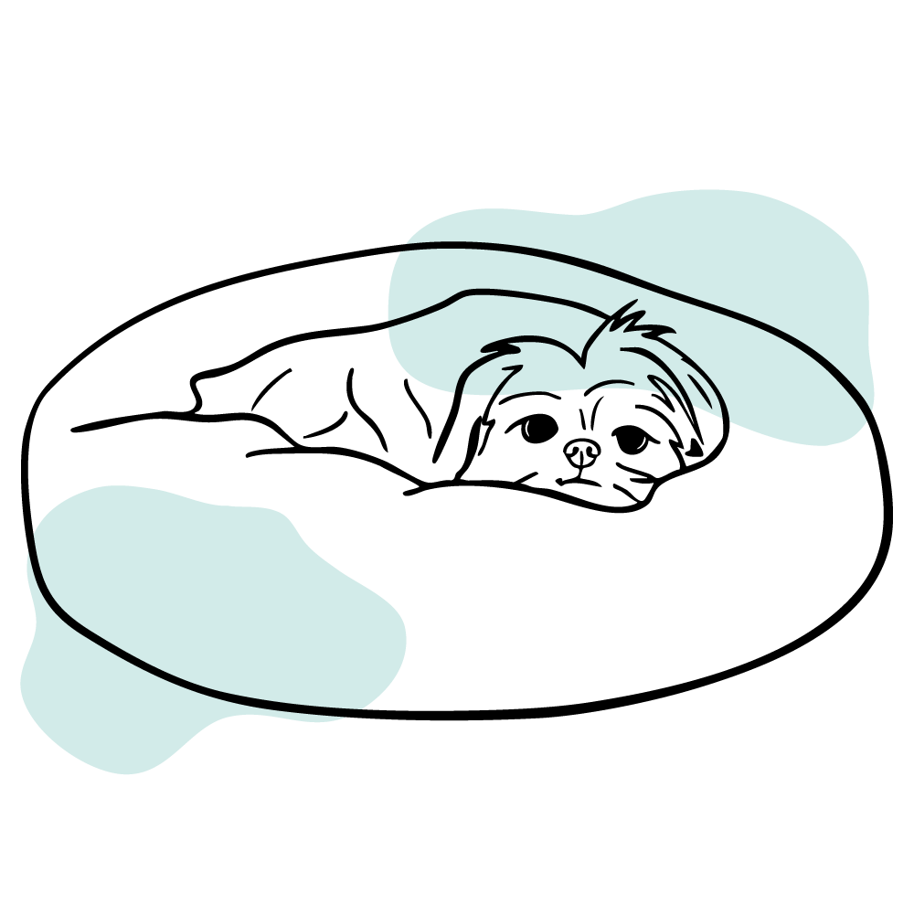 Home care icon of a dog resting in bed after visiting an emergency vet in Edmond urgent vet clinic.