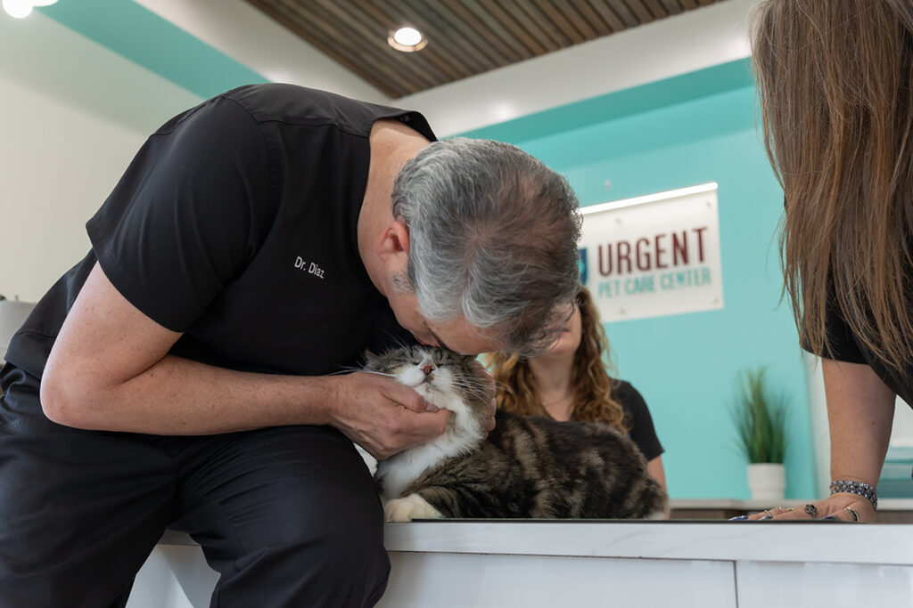 Pet end of life care with loving veterinarian providing pet euthanasia and pain management.