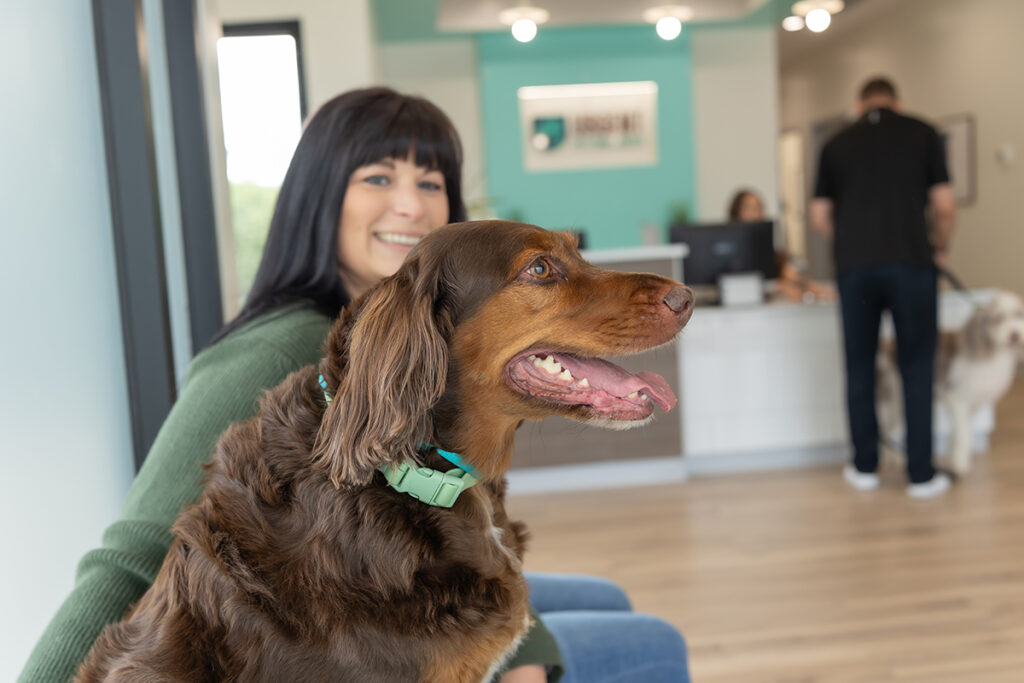 Owner with dog waiting for pet emergency or pet wellness services at after hours vet OKC.