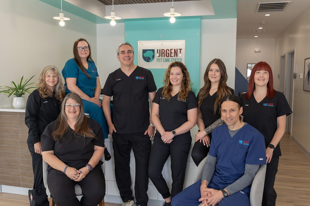 Edmond Vet Clinic team at same day vet clinic offering pet health plan services.