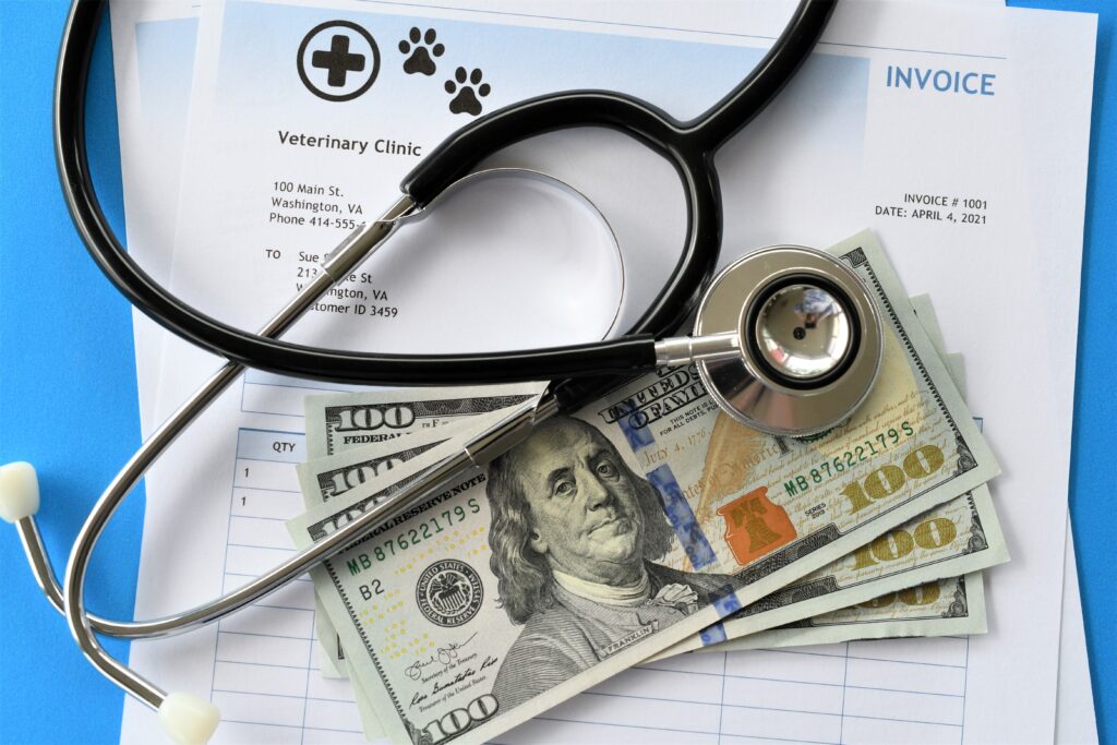 Affordable pet care costs explained with a vet in Edmond and low cost vet OKC options displayed through veterinary invoices and stethoscope.