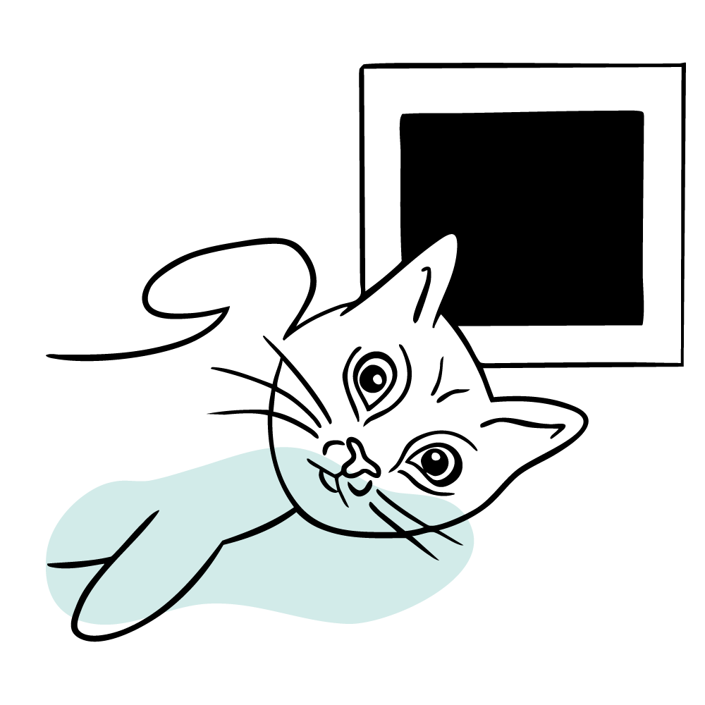 Urgent pet care at emergency vet near Piedmont walk-in vet clinic minutes from Piedmont