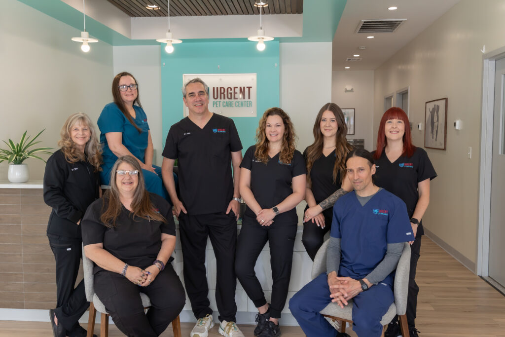 Veterinary team offering blood testing, bloodwork, and pet diagnostics at Urgent Pet Care Center