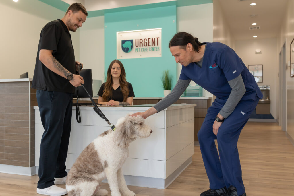Veterinarian greeting a dog before blood testing, bloodwork, and pet diagnostics at Urgent Pet Care Center