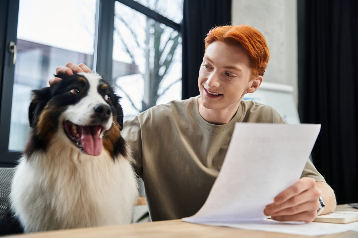 Pet owner reviewing pet insurance paperwork to prepare for a pet emergency or urgent vet visit