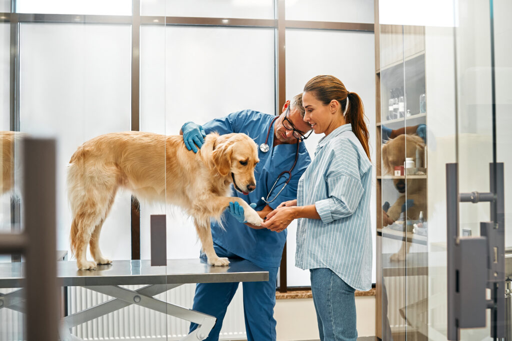 Veterinarian examining dog during an urgent vet visit for a pet emergency with pet insurance coverage discussion