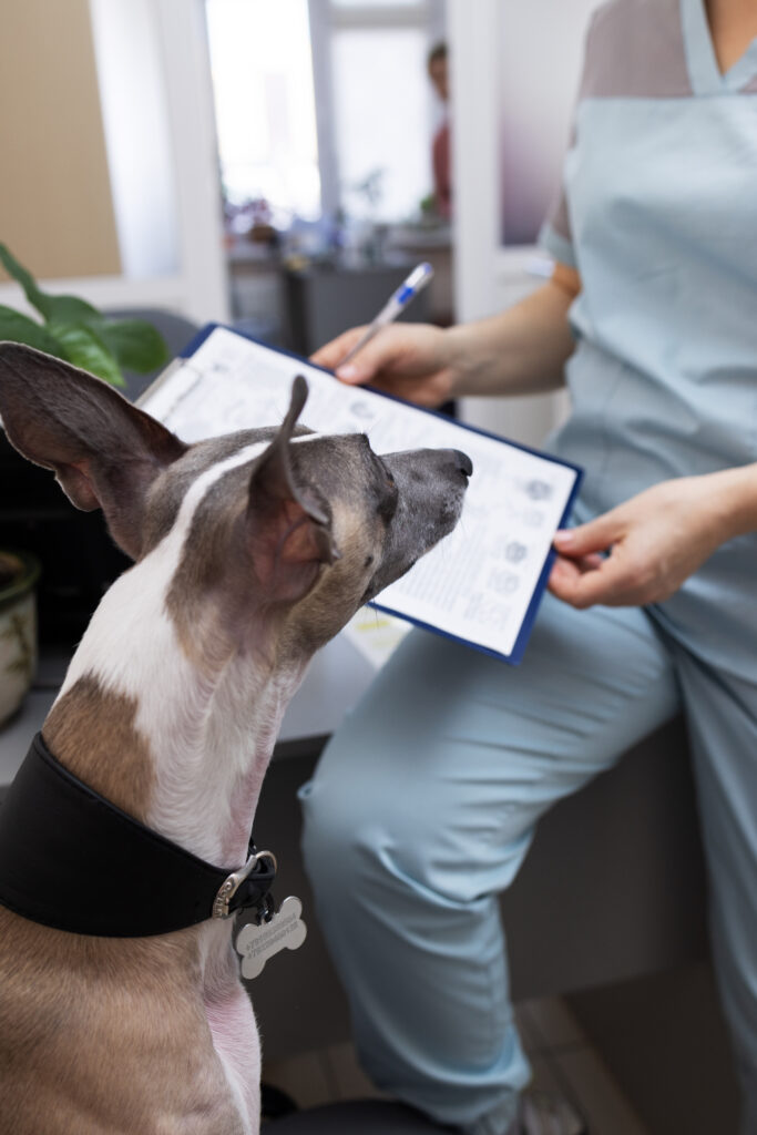 Dog at an urgent vet visit discussing care options and pet insurance coverage for a pet emergency