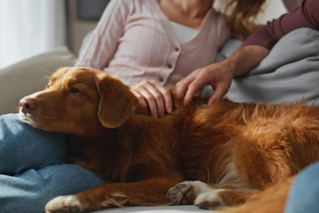 Family comforting their dog at home while managing arthritis in dogs with dog pain management, pet pain management, and supportive daily care.