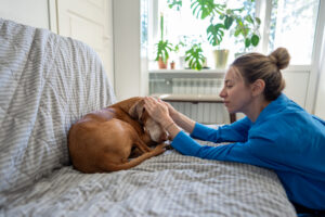 Woman gently comforting a senior dog at home while supporting arthritis in dogs with compassionate dog pain management and pet pain management.